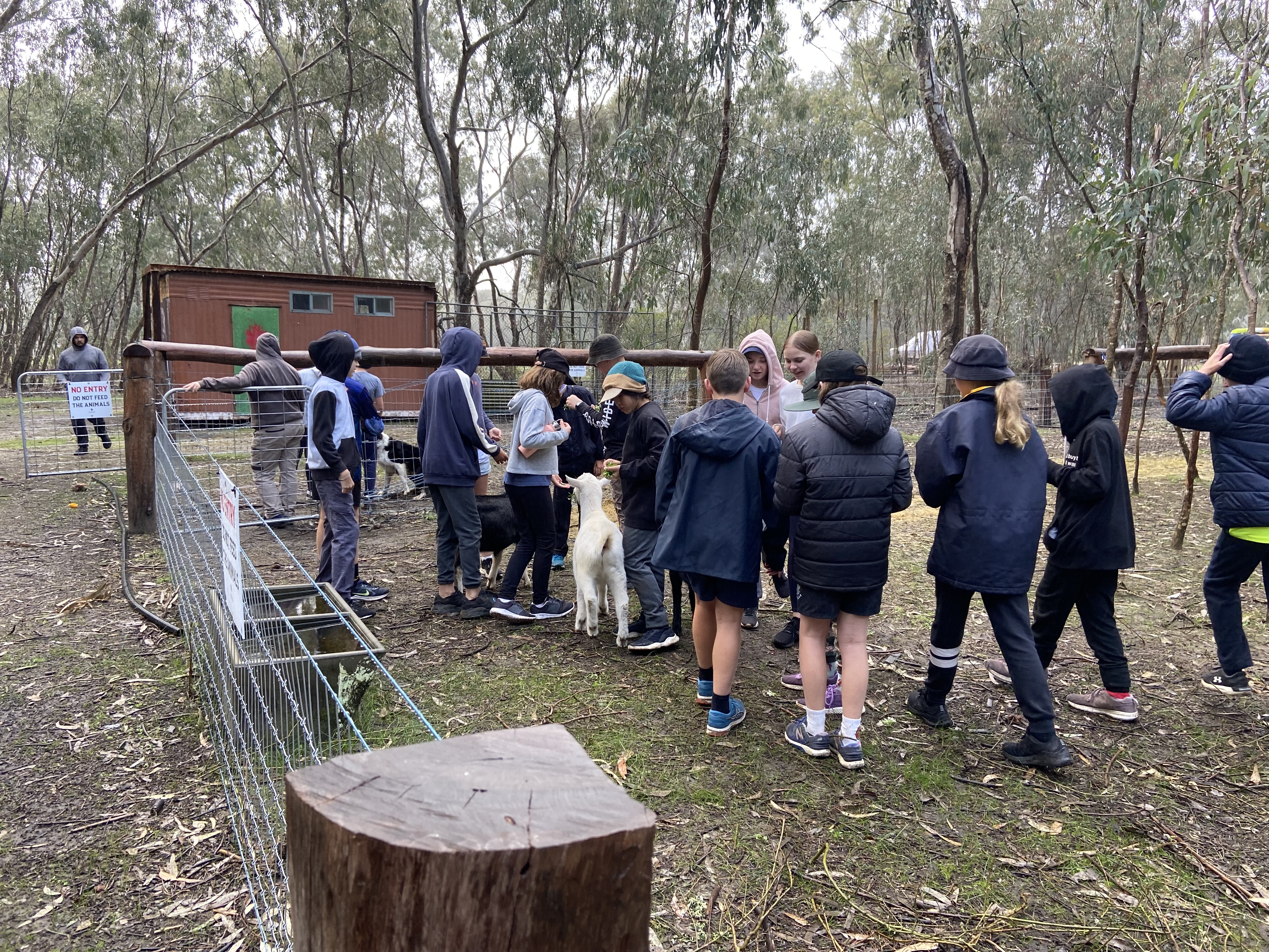/uploaded_files/media/gallery/1630908121Feeding the goats last day of camp.jpg